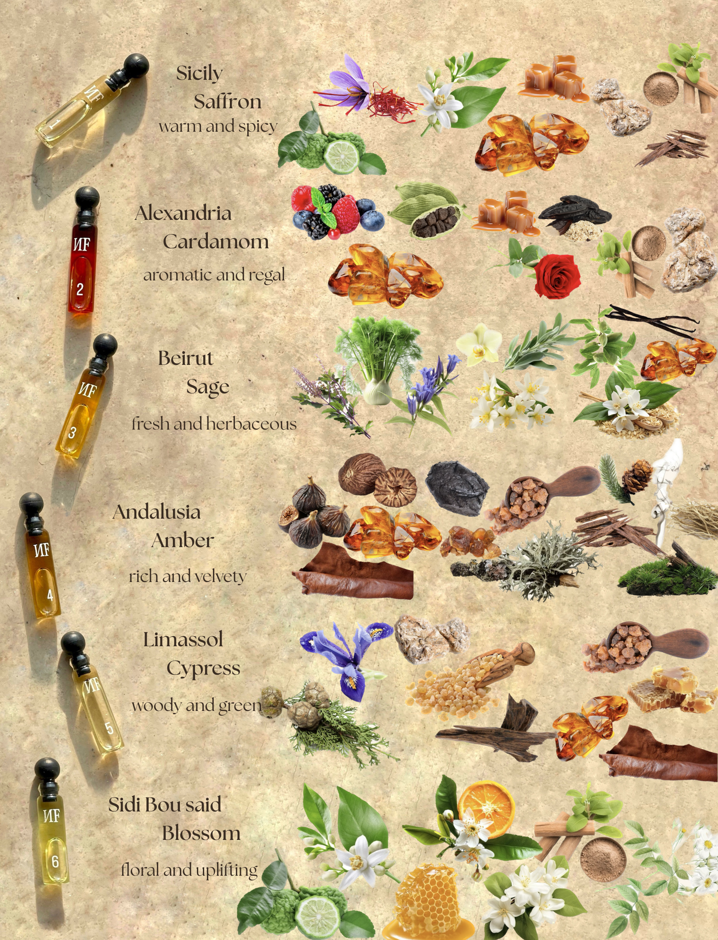 Essence de Méditerranée